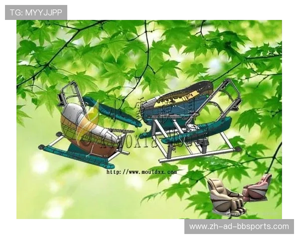 兽鸟系列健身器材产品特色与使用评测